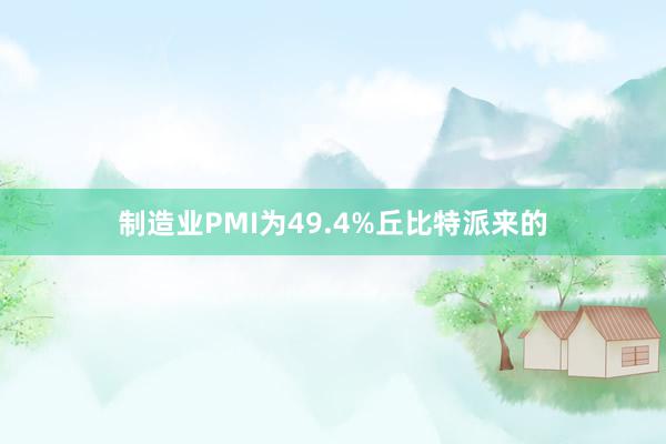 制造业PMI为49.4%丘比特派来的