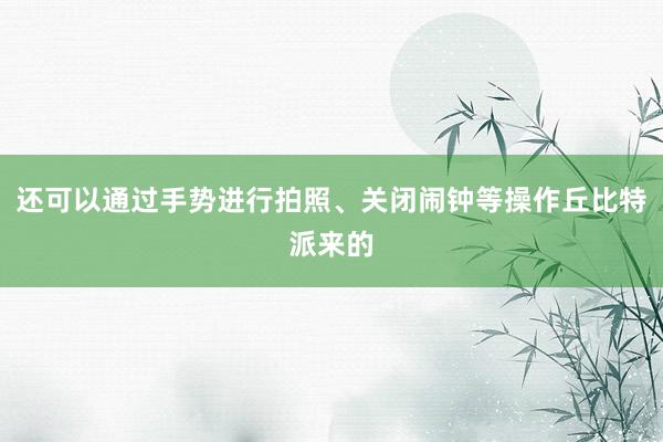 还可以通过手势进行拍照、关闭闹钟等操作丘比特派来的