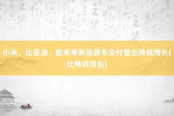 小米、比亚迪、蔚来等新能源车交付量也持续增长{比特派钱包}