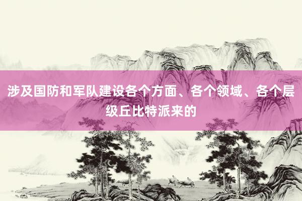 涉及国防和军队建设各个方面、各个领域、各个层级丘比特派来的