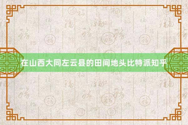 在山西大同左云县的田间地头比特派知乎