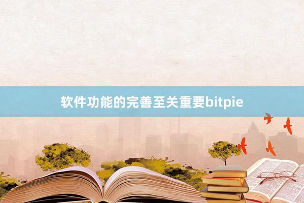 软件功能的完善至关重要bitpie