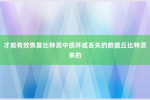 才能有效恢复比特派中损坏或丢失的数据丘比特派来的