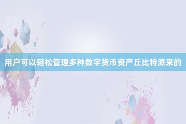 用户可以轻松管理多种数字货币资产丘比特派来的