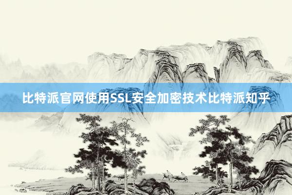 比特派官网使用SSL安全加密技术比特派知乎