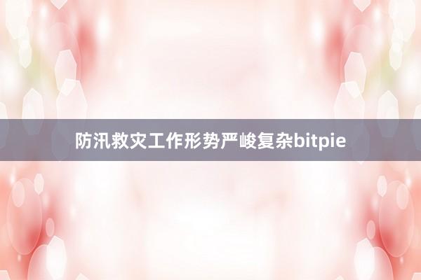 防汛救灾工作形势严峻复杂bitpie