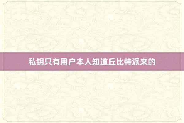 私钥只有用户本人知道丘比特派来的