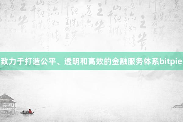 致力于打造公平、透明和高效的金融服务体系bitpie