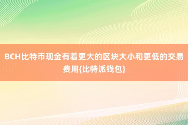 BCH比特币现金有着更大的区块大小和更低的交易费用{比特派钱包}