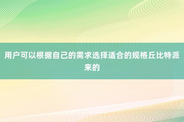 用户可以根据自己的需求选择适合的规格丘比特派来的