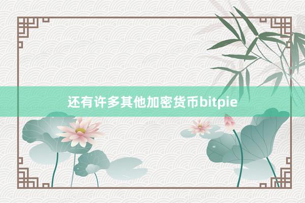 还有许多其他加密货币bitpie