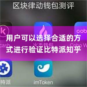 用户可以选择合适的方式进行验证比特派知乎