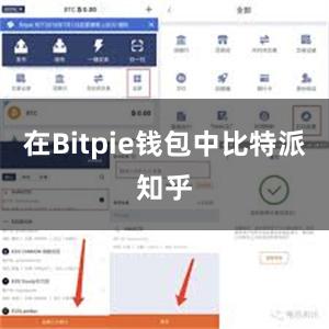 在Bitpie钱包中比特派知乎