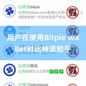 用户在使用Bitpie wallet时比特派知乎